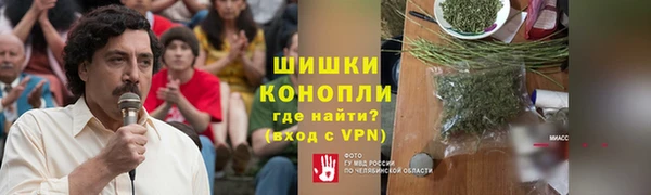 стаф Липки