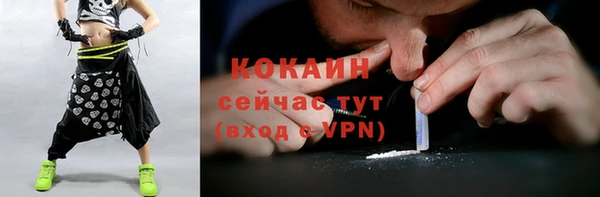 стаф Липки