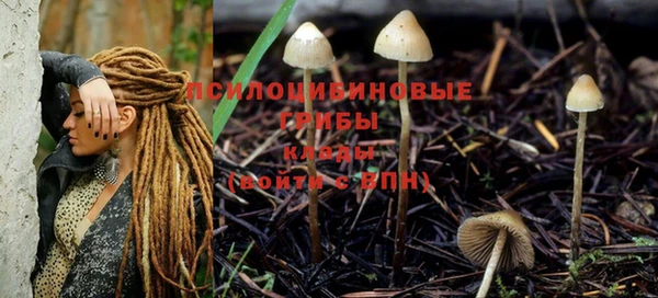 мескалин Лихославль