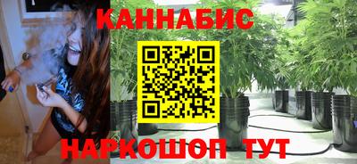 шишки Ирбит