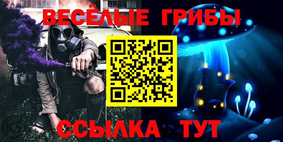 Галлюциногенные грибы прущие грибы  Вход с VPN  Красноярск 